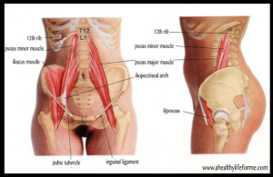 WORKWELL PRESENTS : Meet the Psoas
